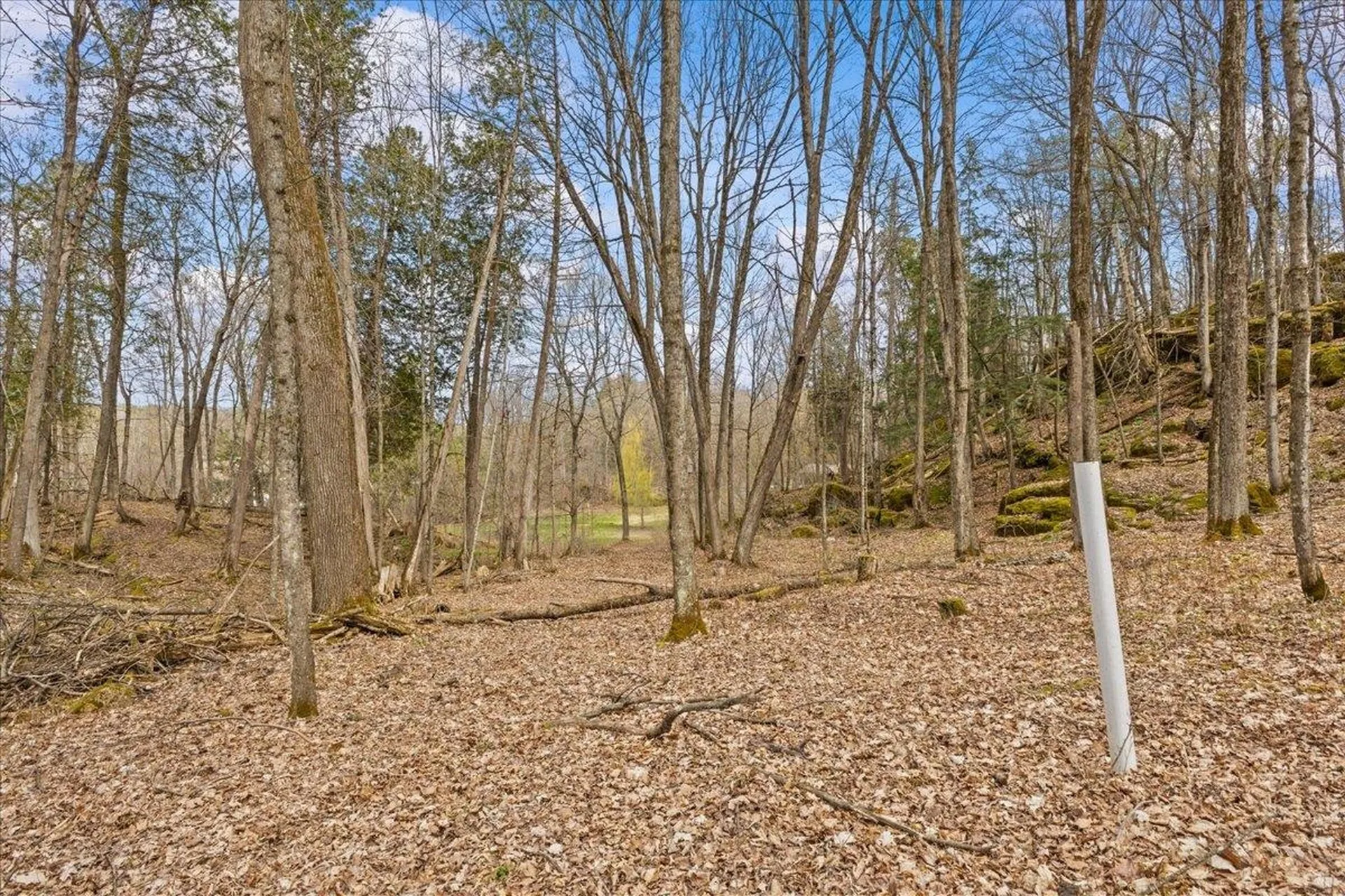 0 Bullock Road Georgia VT 05468