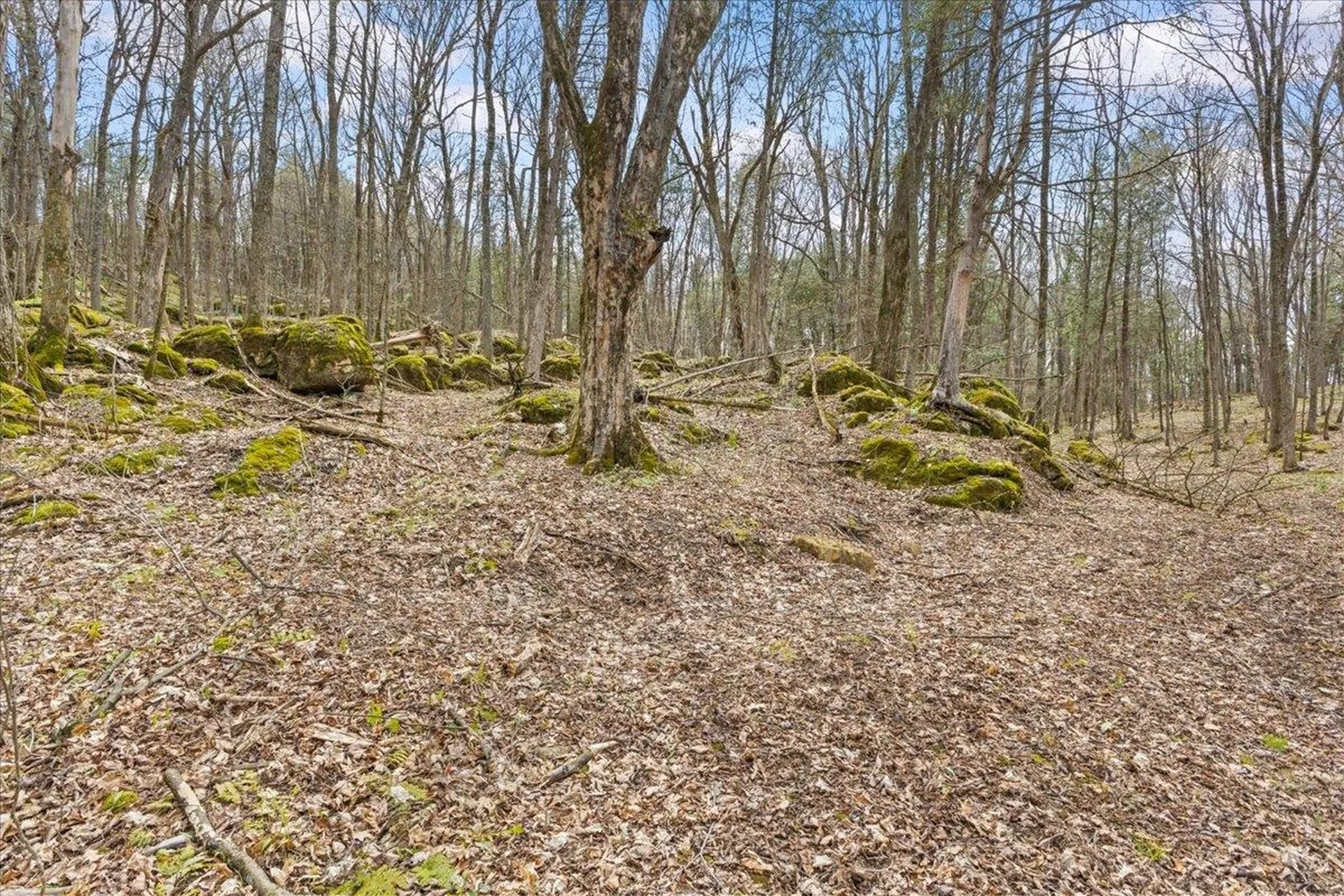 0 Bullock Road Georgia VT 05468