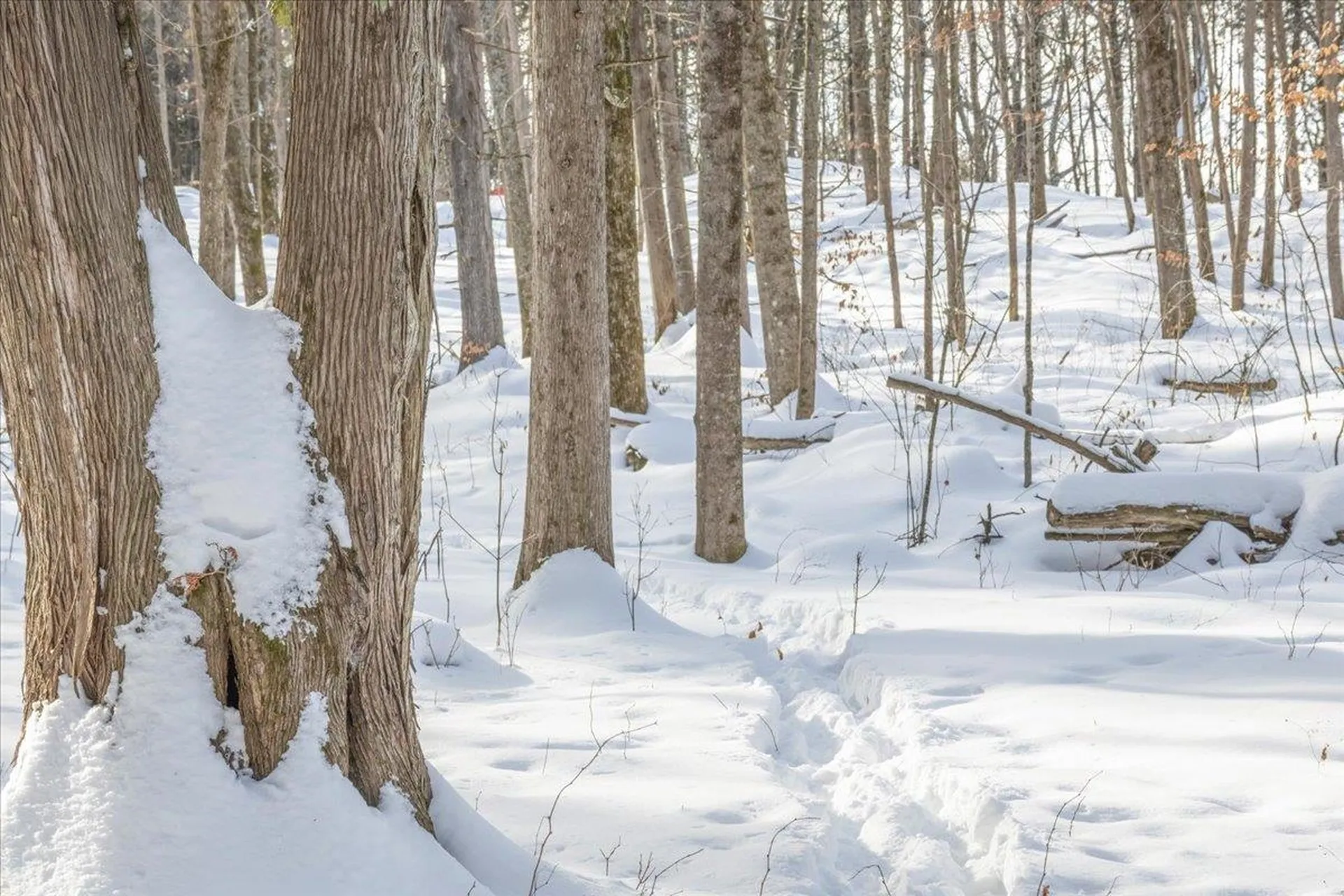 0 Bullock Road Georgia VT 05468