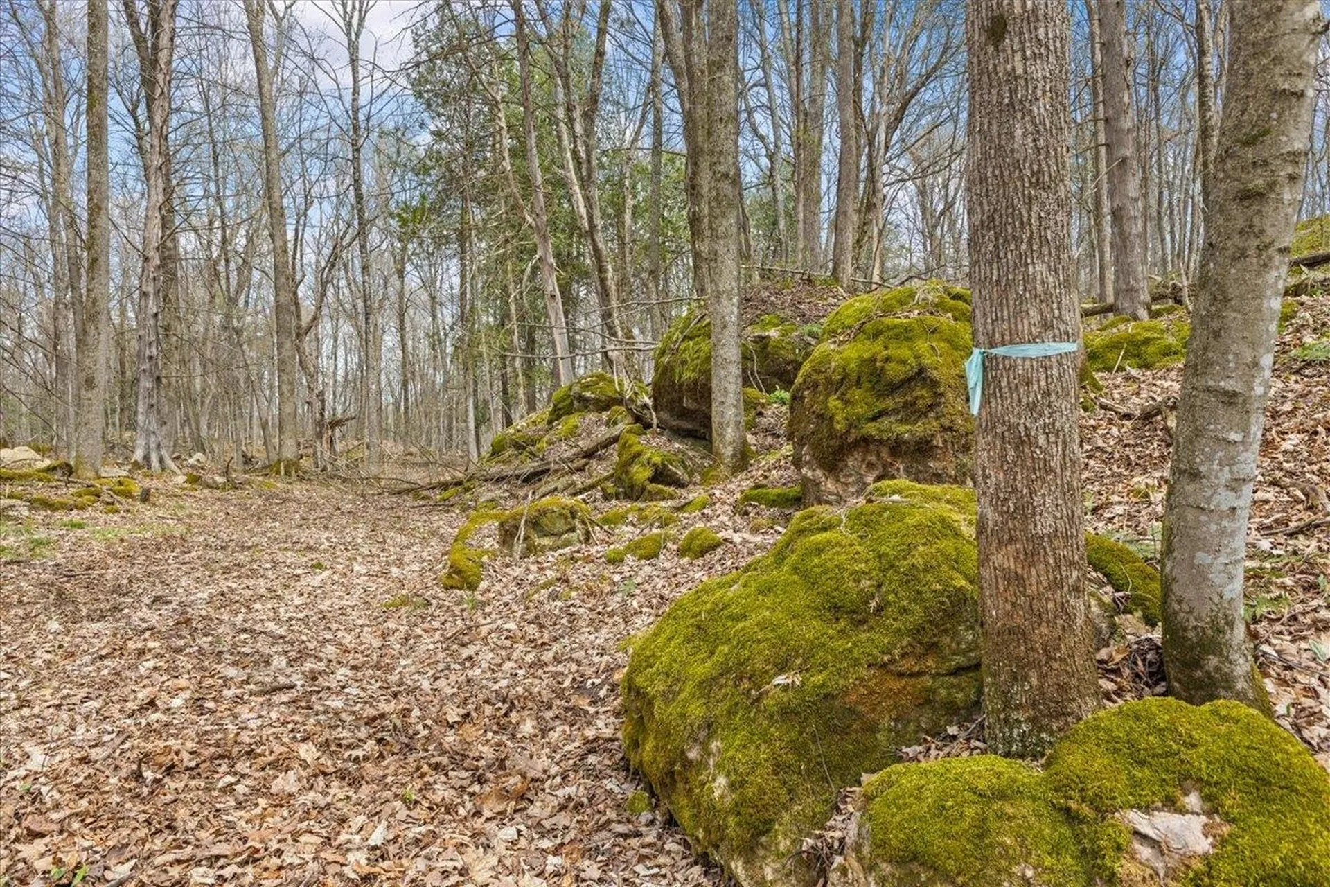 0 Bullock Road Georgia VT 05468