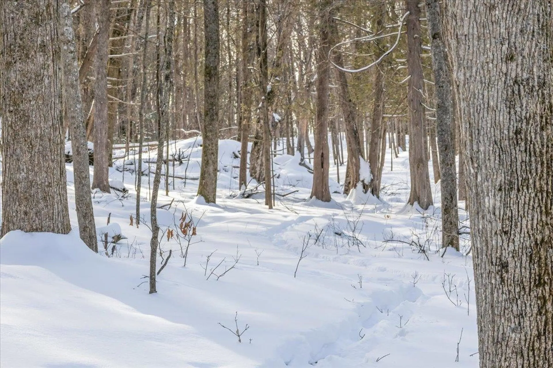 0 Bullock Road Georgia VT 05468