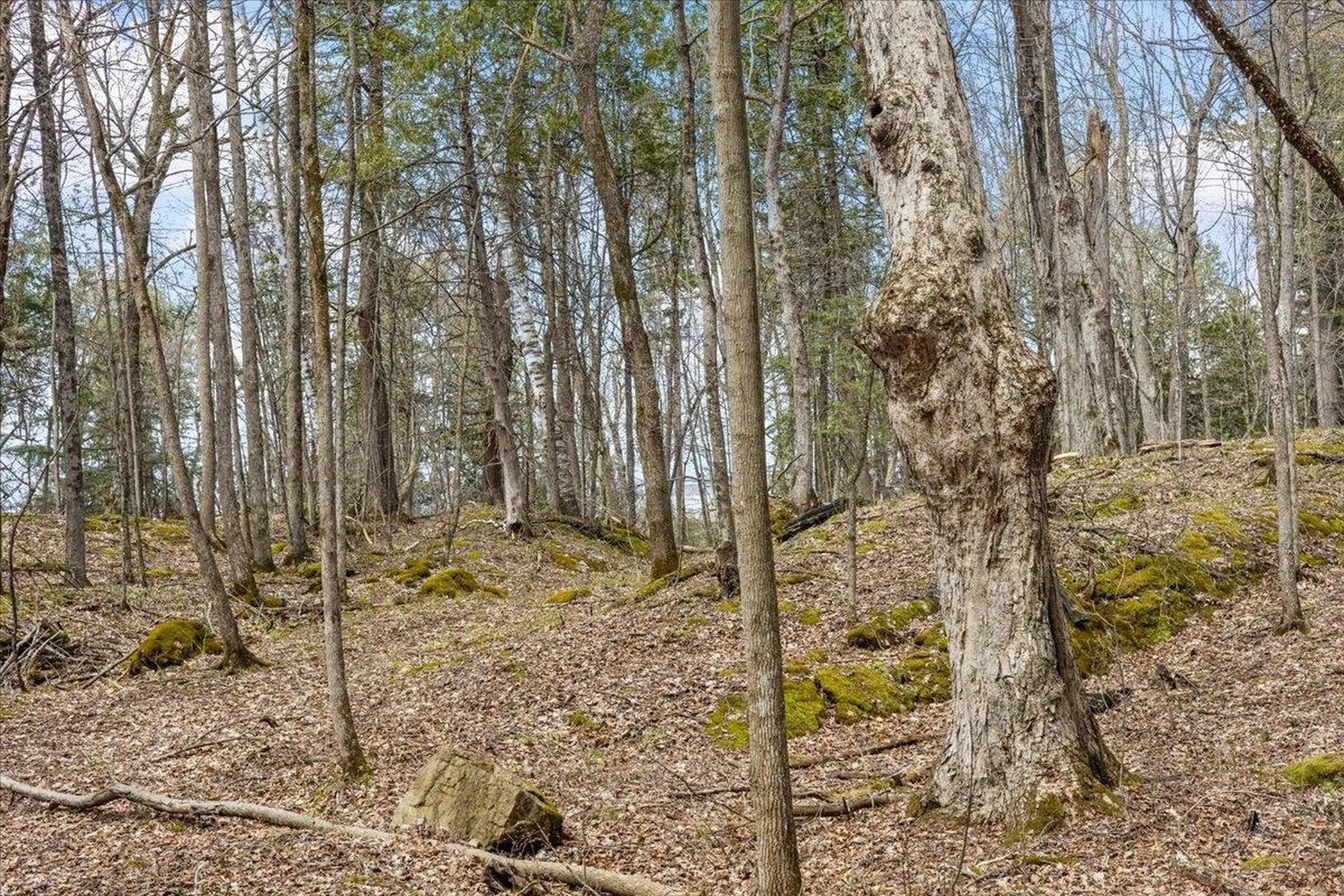 0 Bullock Road Georgia VT 05468