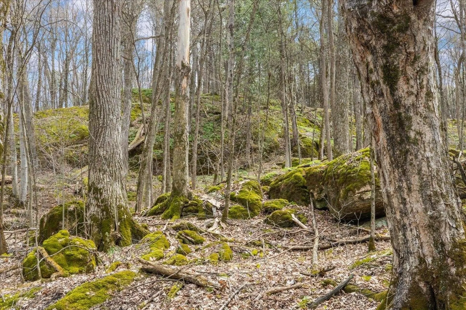 0 Bullock Road Georgia VT 05468