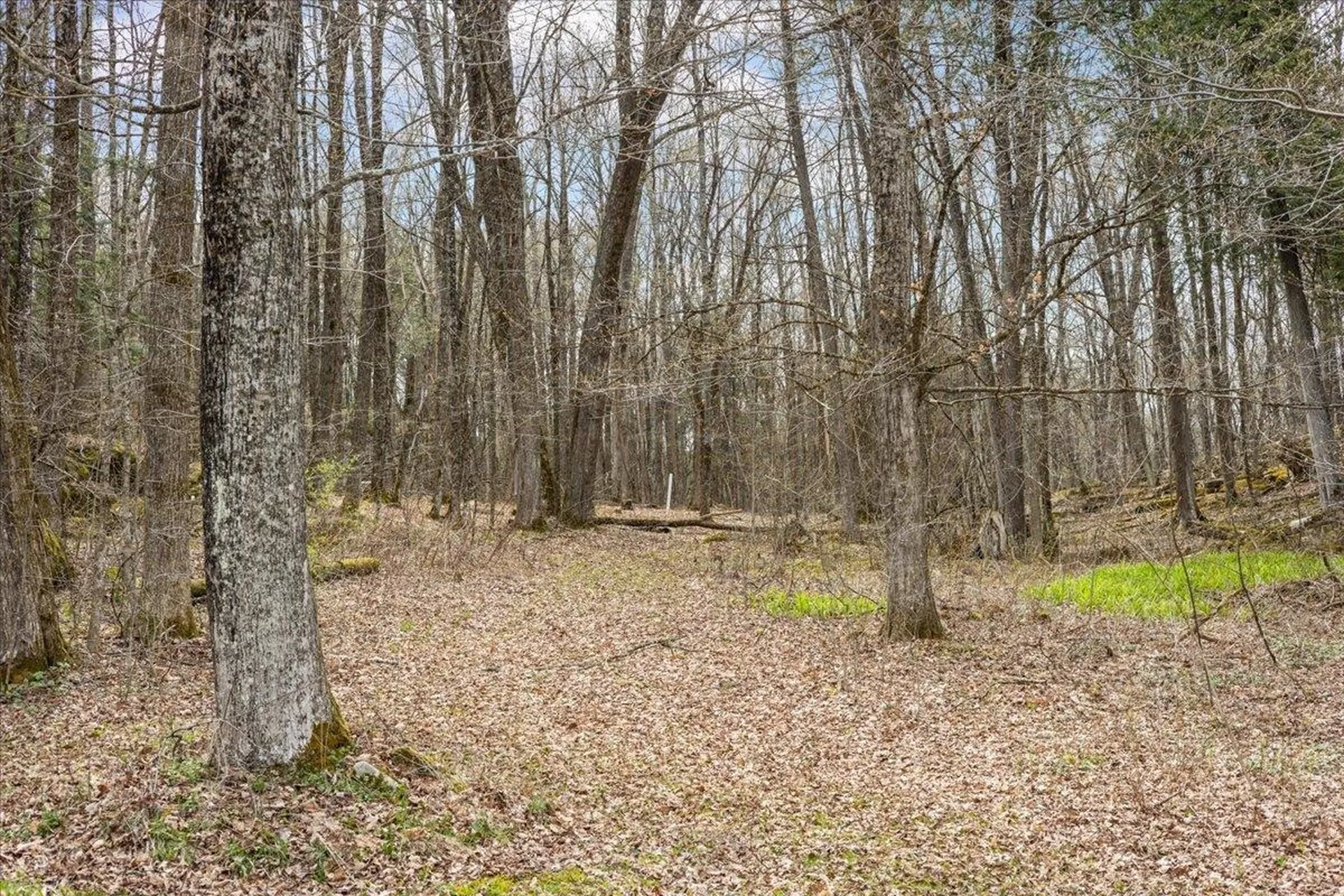 0 Bullock Road Georgia VT 05468