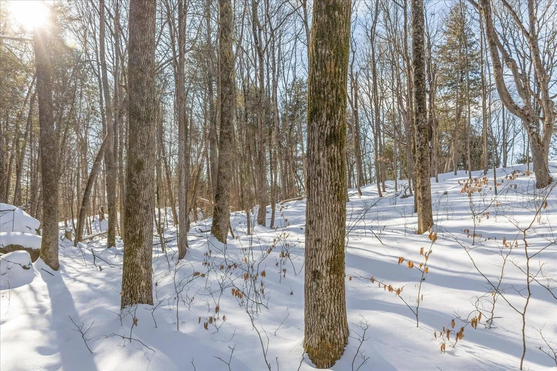 0 Bullock Road Georgia VT 05468