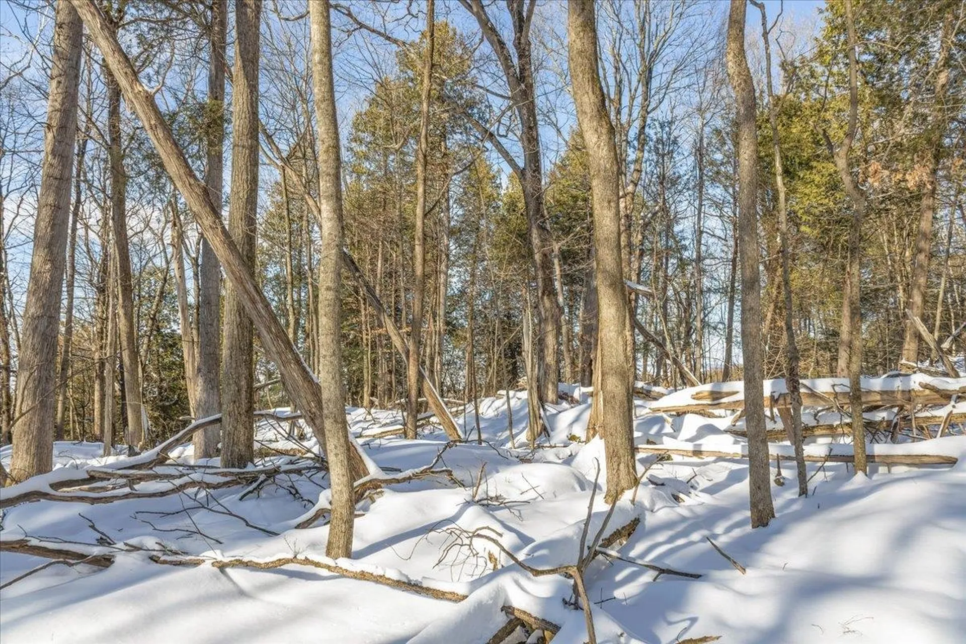 0 Bullock Road Georgia VT 05468