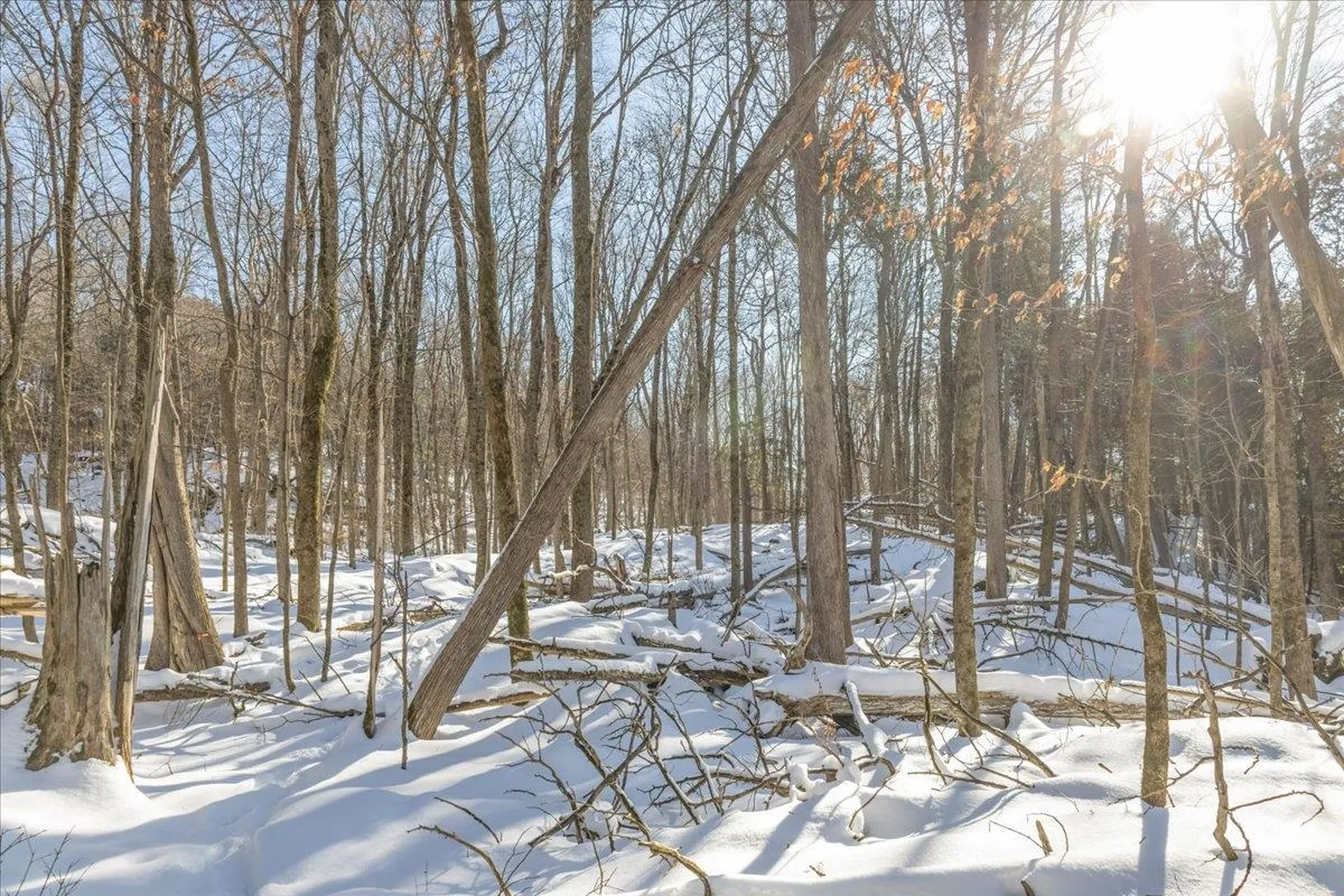 0 Bullock Road Georgia VT 05468