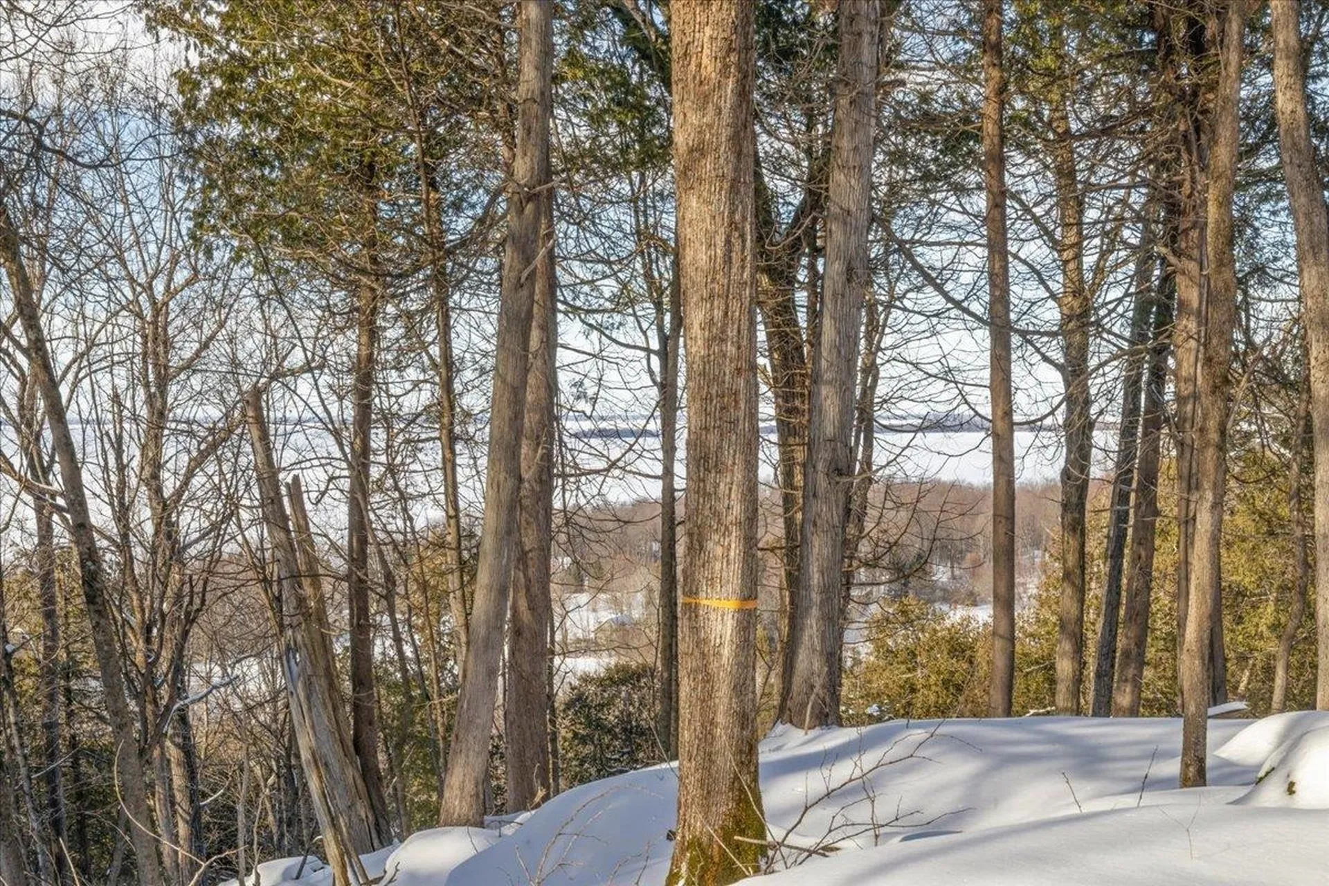 0 Bullock Road Georgia VT 05468