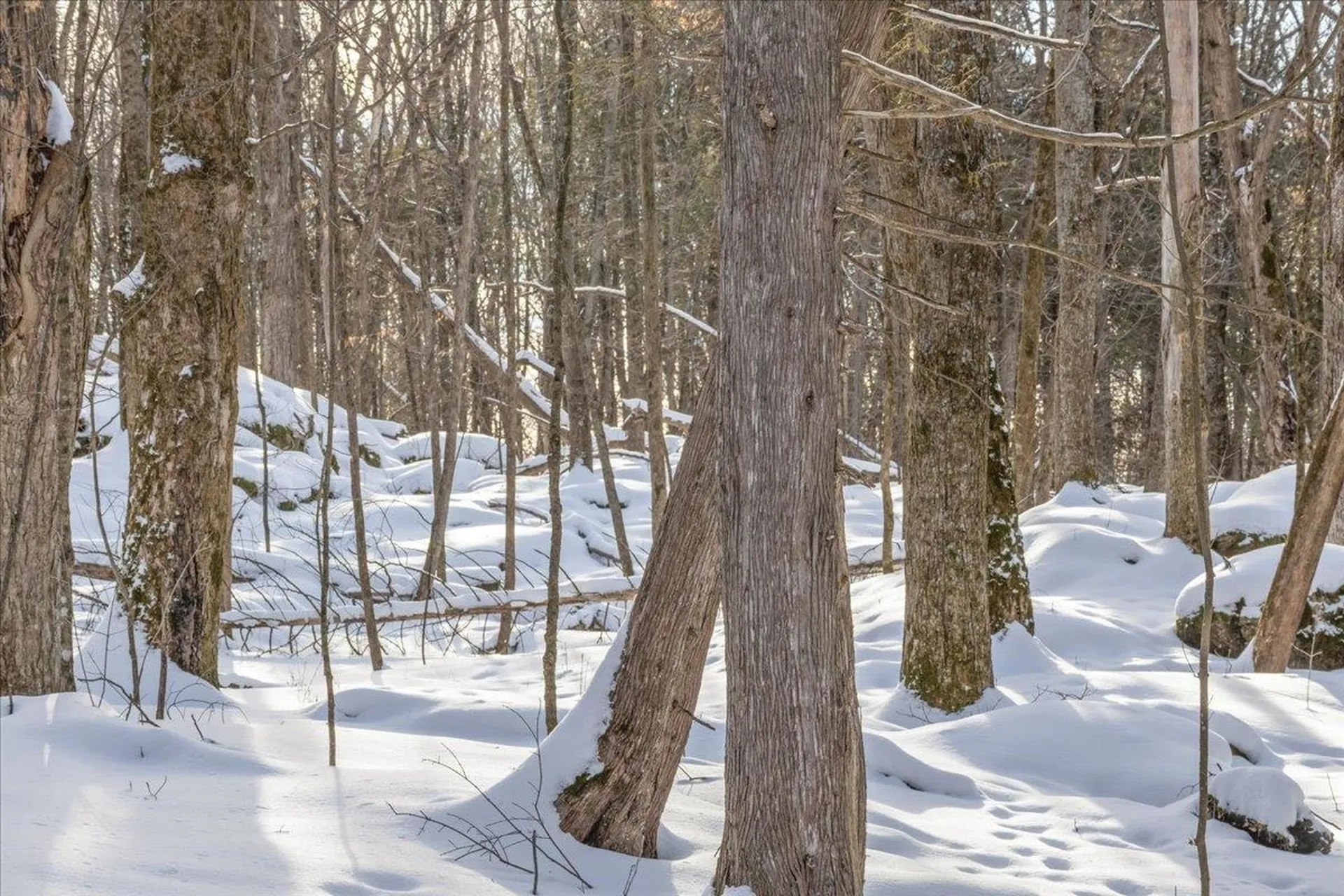 0 Bullock Road Georgia VT 05468