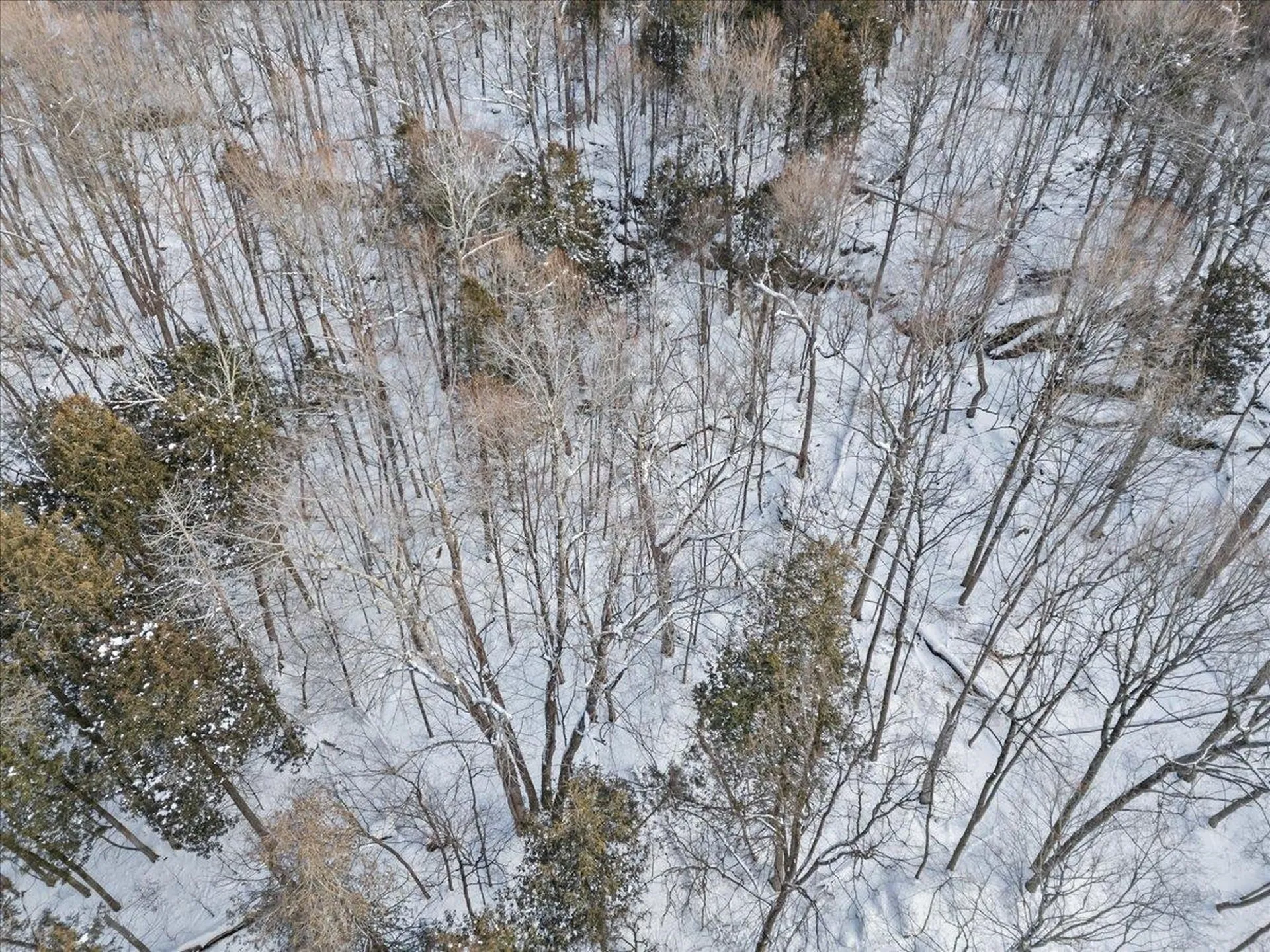 0 Bullock Road Georgia VT 05468