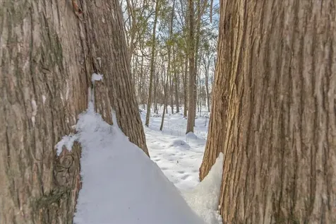 0 Bullock Road Georgia VT 05468