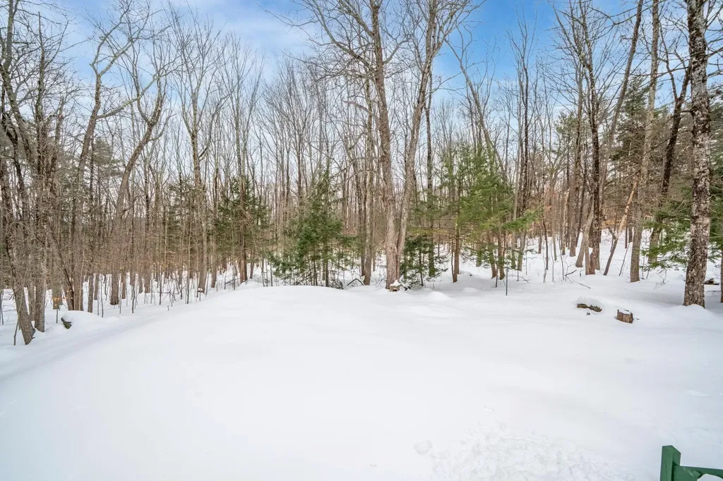 56 Hogg Hill Road Bradford NH 03221