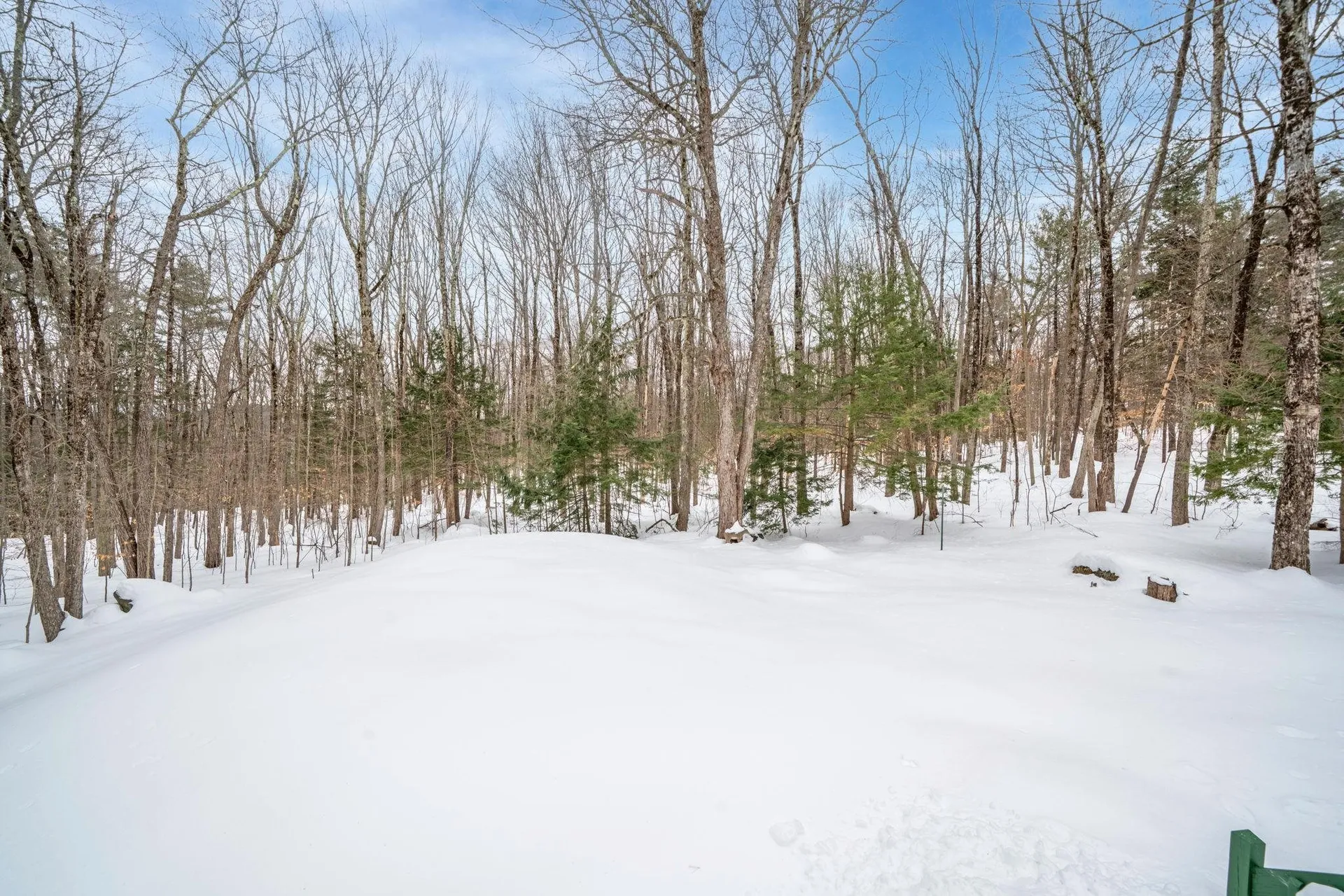 56 Hogg Hill Road Bradford NH 03221