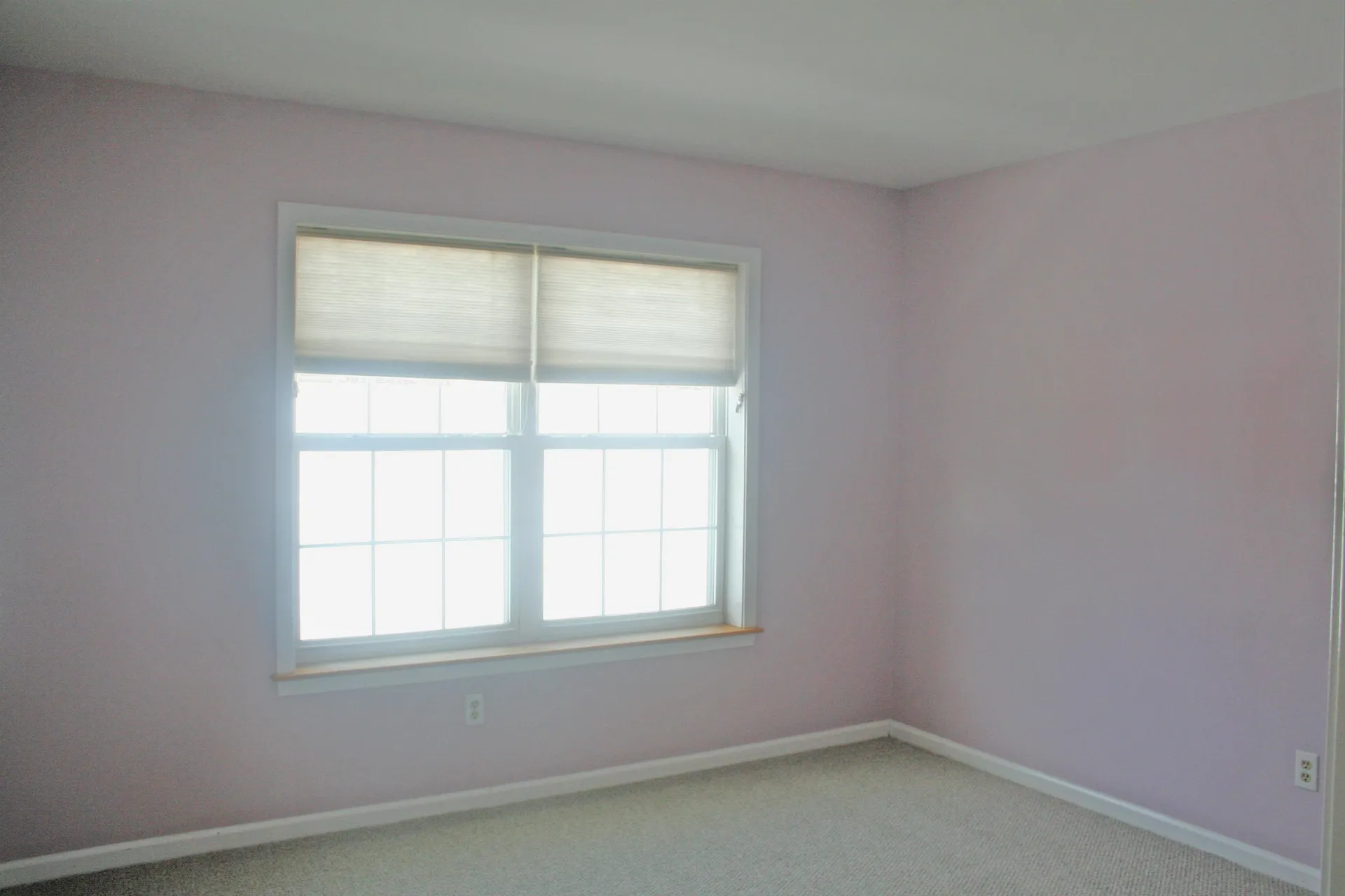 238 Cedar Lane Williston VT 05495