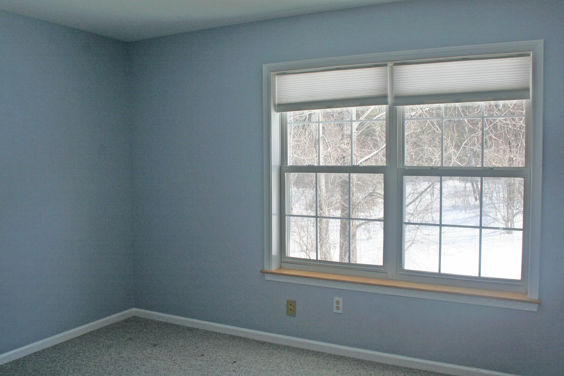 238 Cedar Lane Williston VT 05495