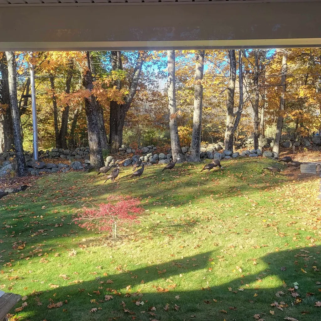 285 Cochran Hill Road New Boston NH 03070