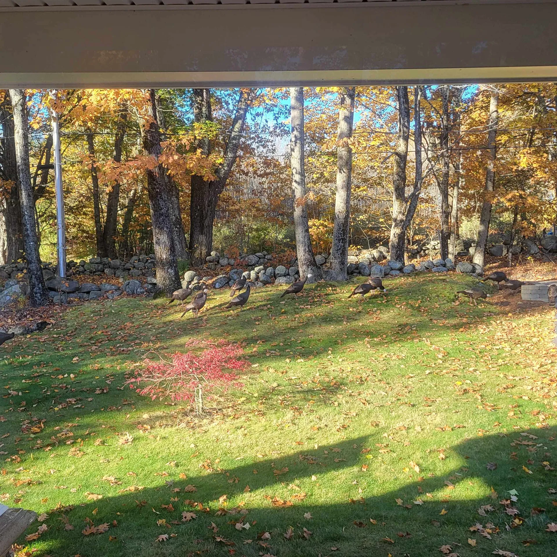 285 Cochran Hill Road New Boston NH 03070