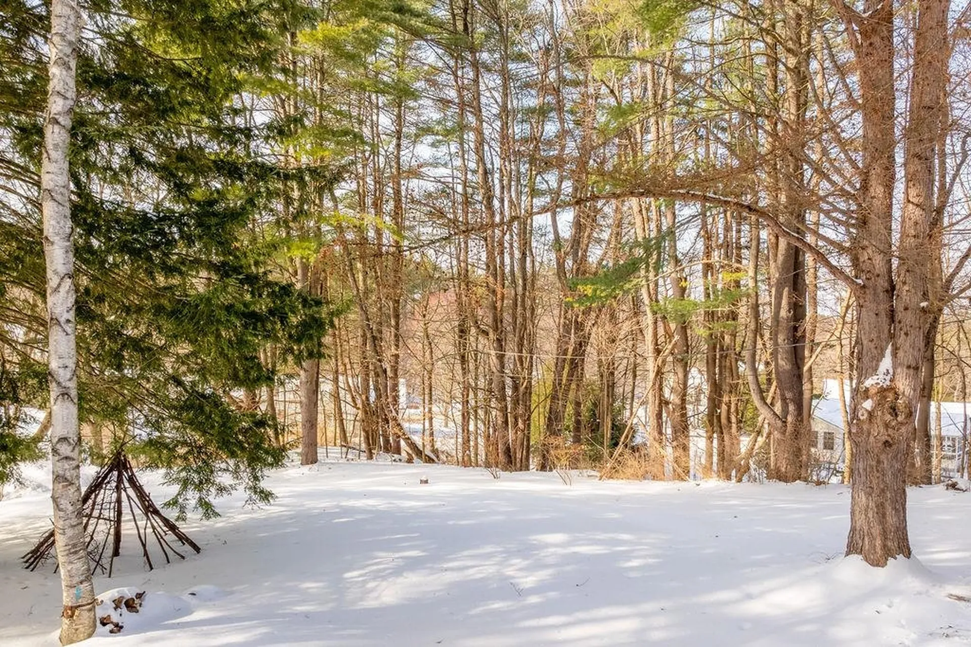 7 Birchbrook Street Hanover NH 03755