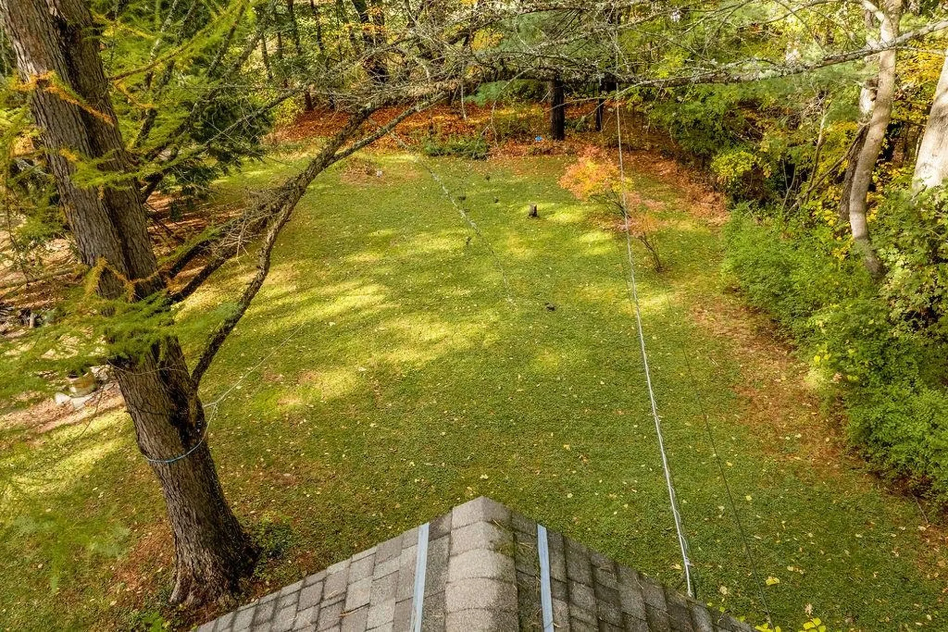 7 Birchbrook Street Hanover NH 03755