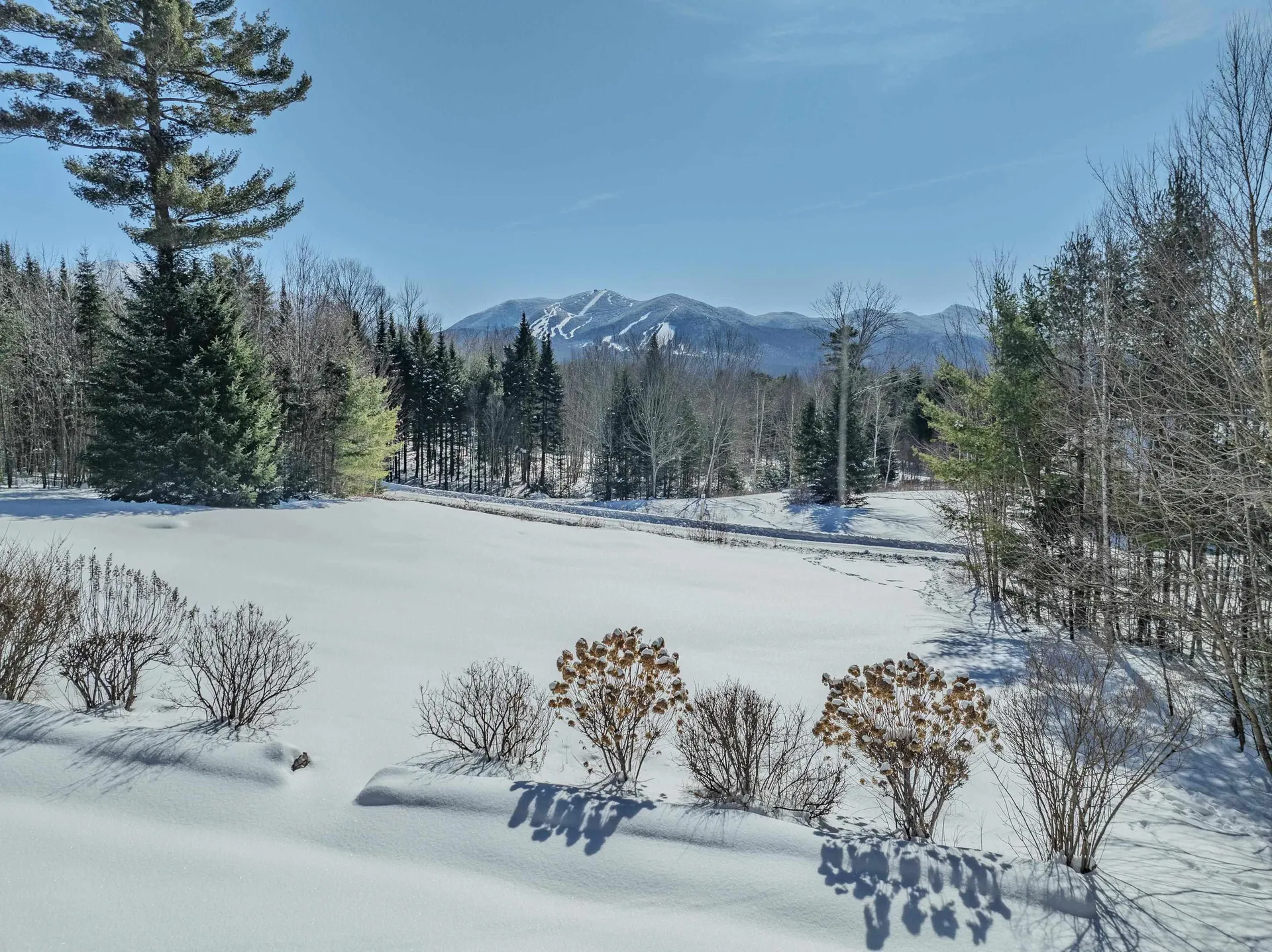 54 Woodbine Lane Franconia NH 03580