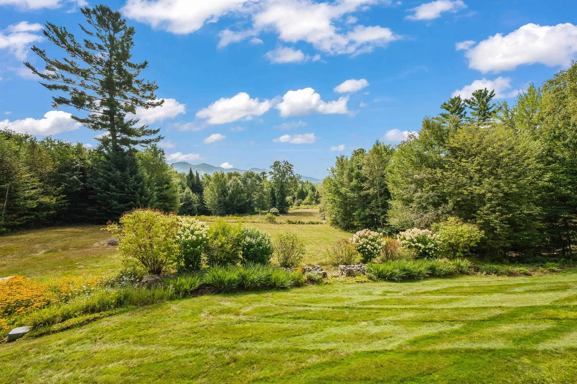 54 Woodbine Lane Franconia NH 03580