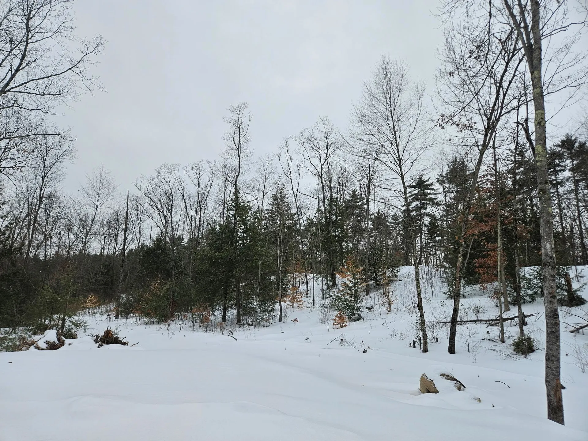 1 Whitetail Way Amherst NH 03031