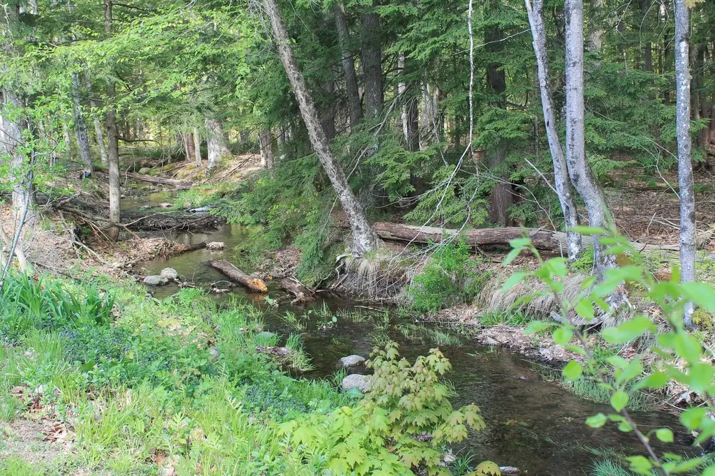 158 Pollard Road Lincoln NH 03251