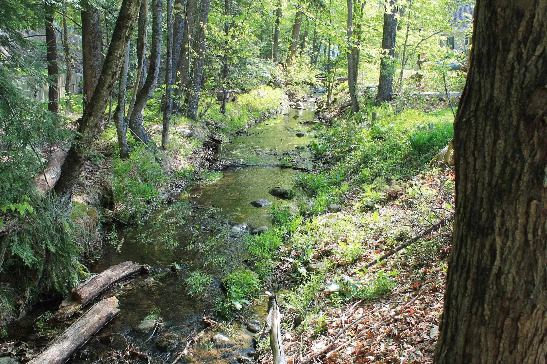 158 Pollard Road Lincoln NH 03251