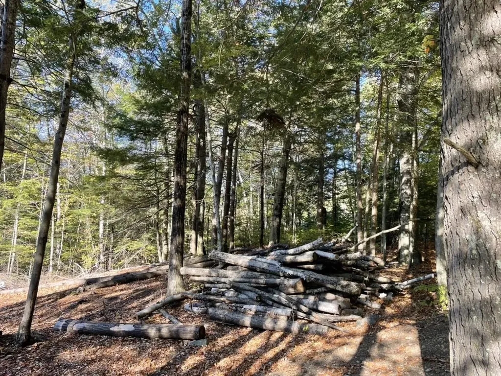 341 Perkins Hill Road Alexandria NH 03222