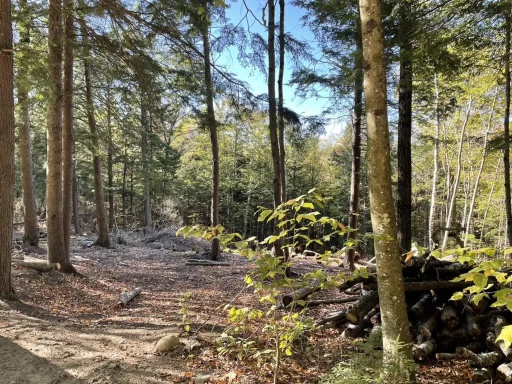 341 Perkins Hill Road Alexandria NH 03222