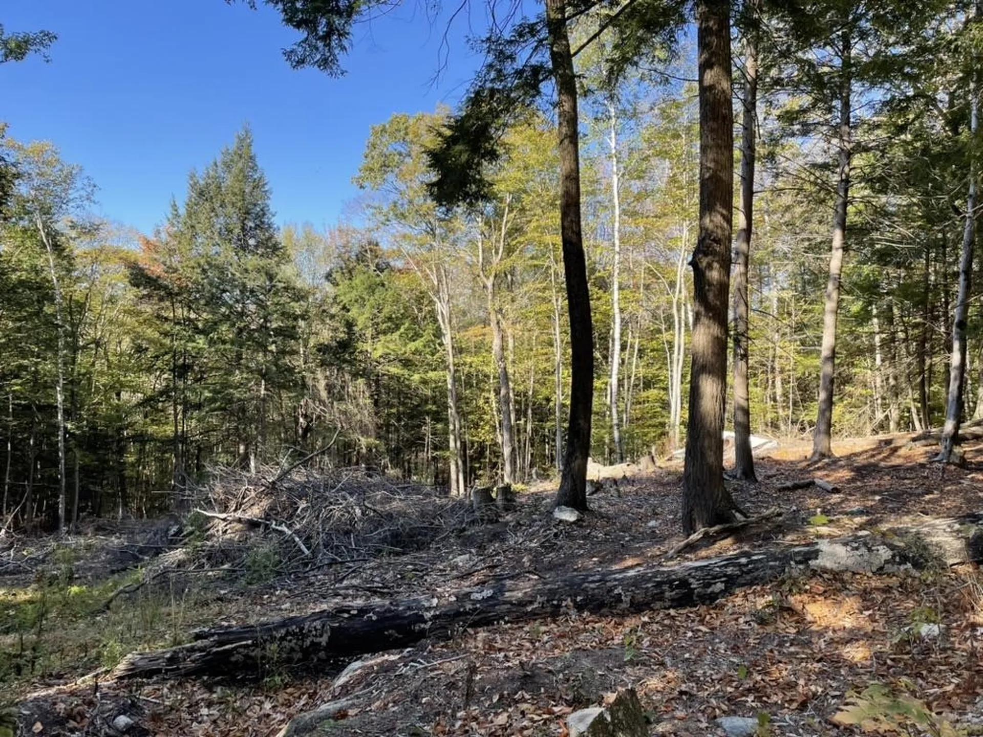 341 Perkins Hill Road Alexandria NH 03222