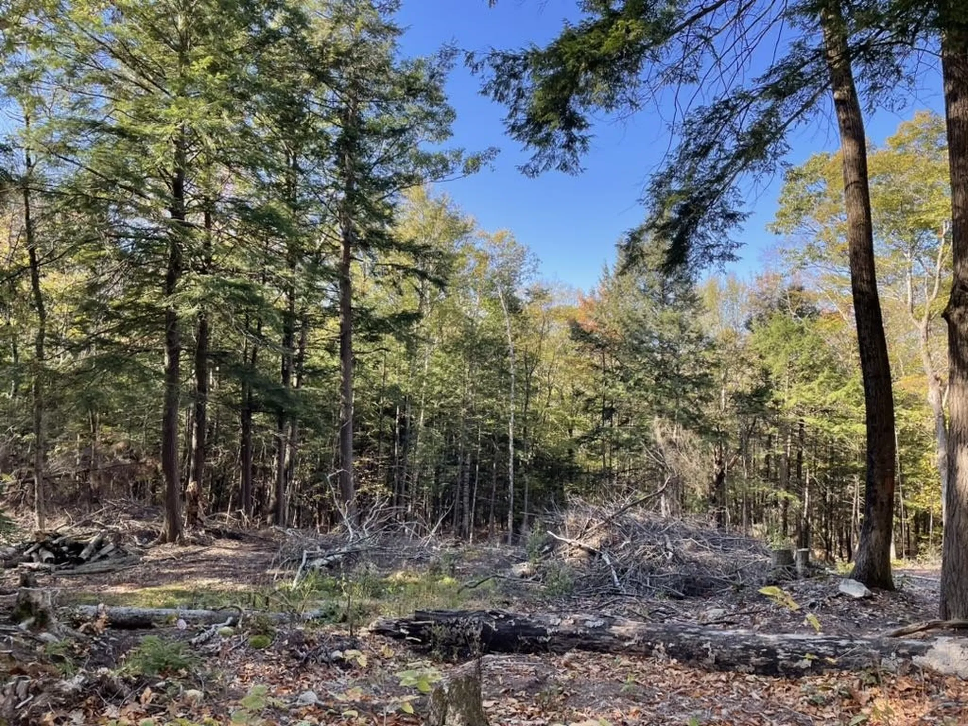 341 Perkins Hill Road Alexandria NH 03222