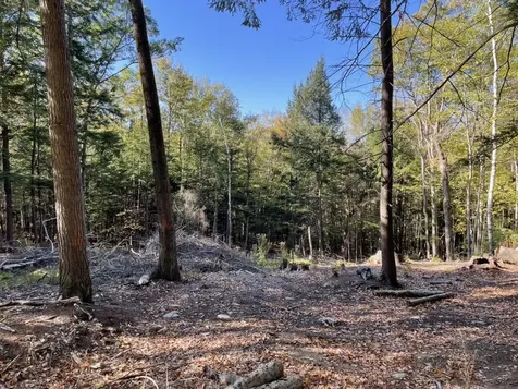 341 Perkins Hill Road Alexandria NH 03222