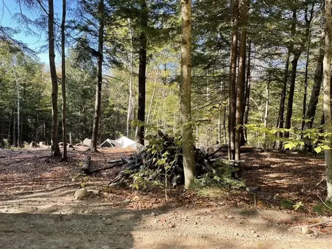 341 Perkins Hill Road Alexandria NH 03222