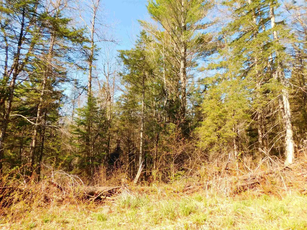 0 Piper Hill Road Colebrook NH 03576