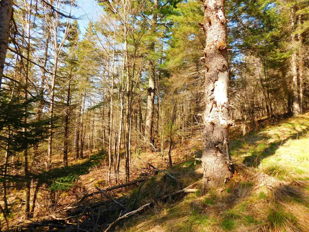0 Piper Hill Road Colebrook NH 03576