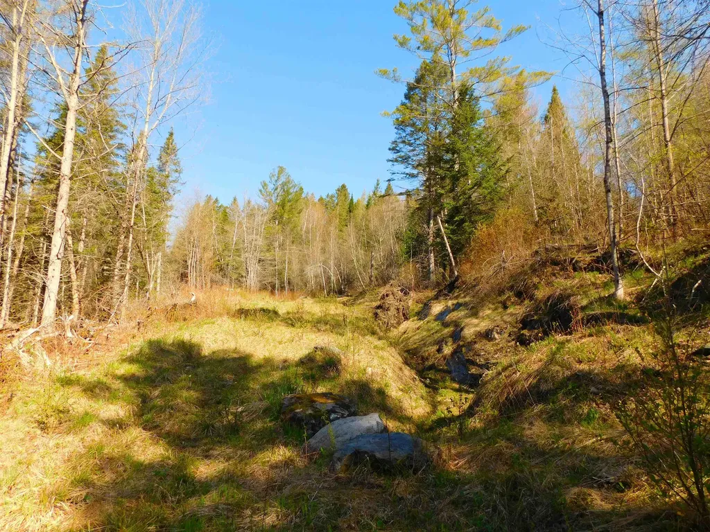 0 Piper Hill Road Colebrook NH 03576