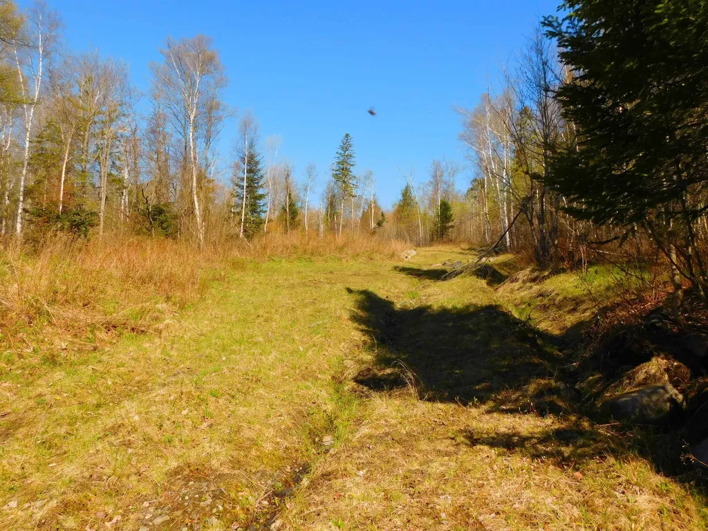 0 Piper Hill Road Colebrook NH 03576