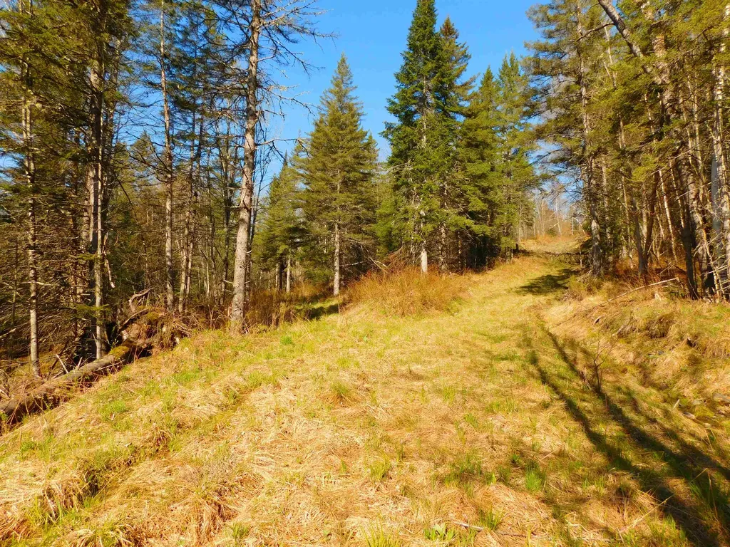 0 Piper Hill Road Colebrook NH 03576