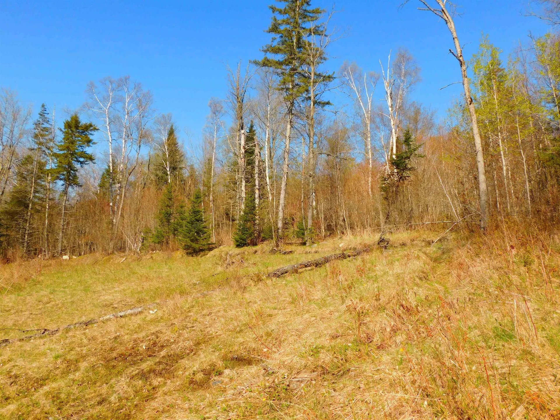 0 Piper Hill Road Colebrook NH 03576
