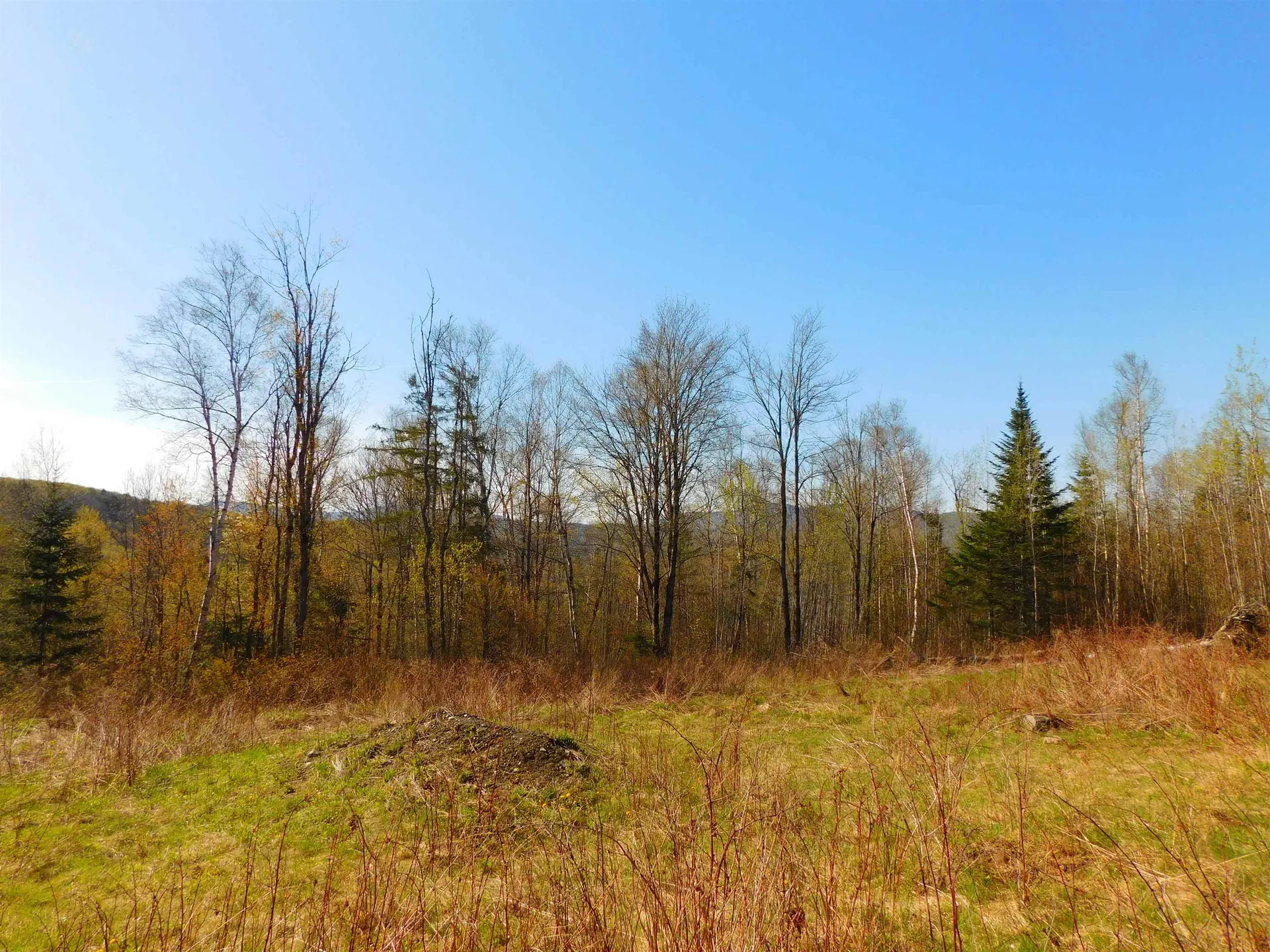 0 Piper Hill Road Colebrook NH 03576