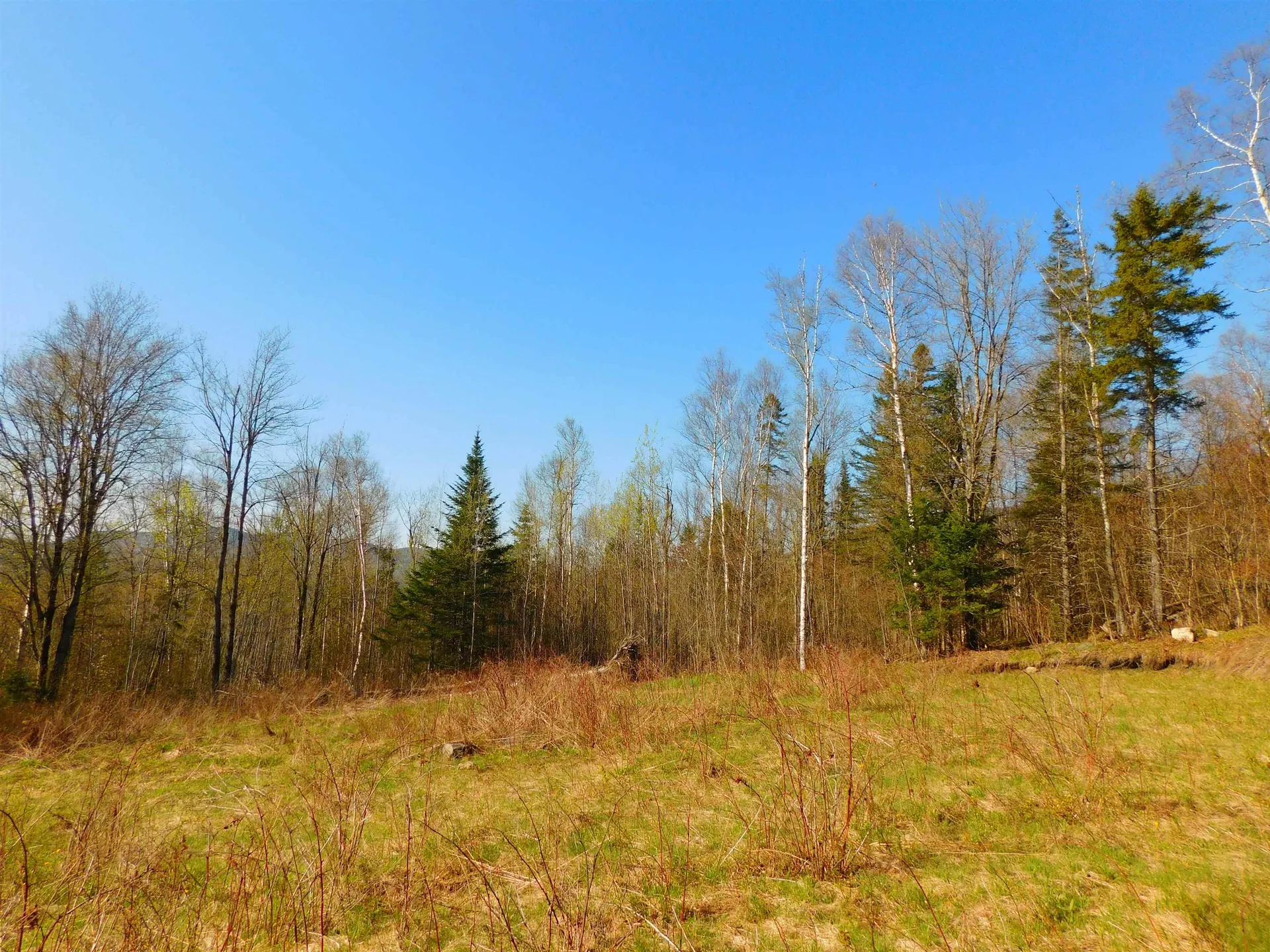 0 Piper Hill Road Colebrook NH 03576