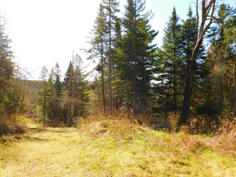 0 Piper Hill Road Colebrook NH 03576