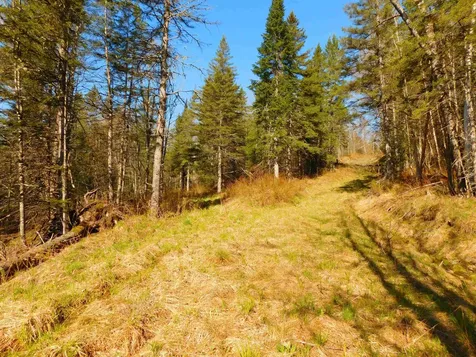 0 Piper Hill Road Colebrook NH 03576