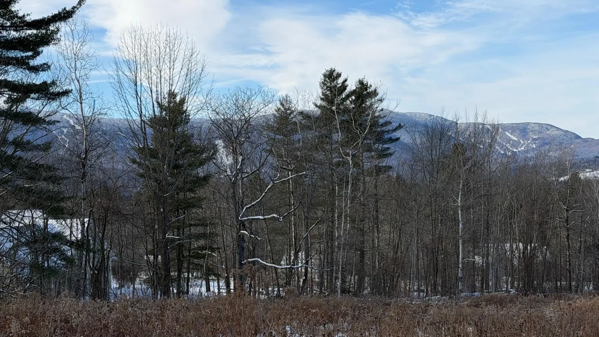 899 Common Road Waitsfield VT 05673