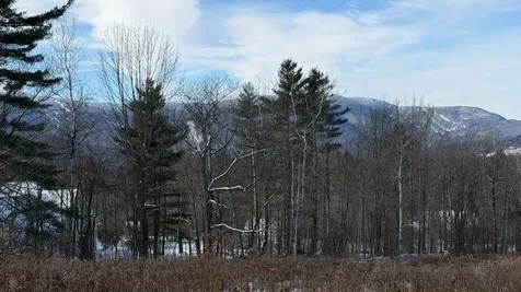 899 Common Road Waitsfield VT 05673