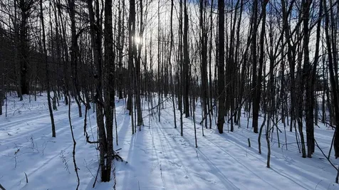 899 Common Road Waitsfield VT 05673