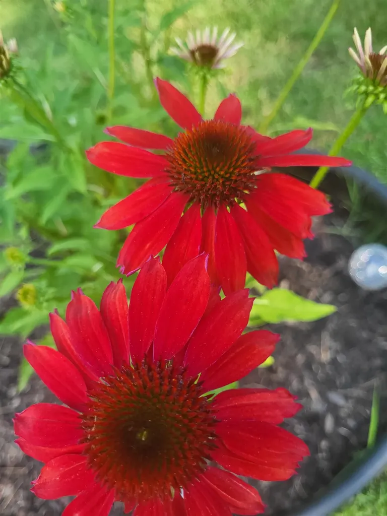 25 Marshall Avenue Hartford VT 05001