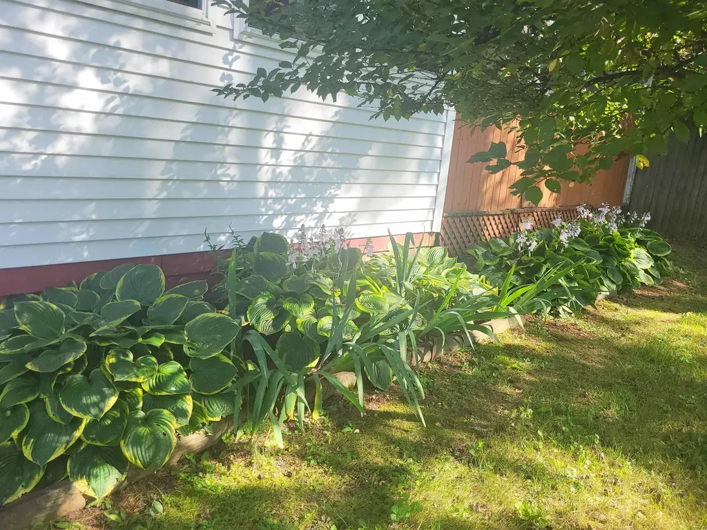 25 Marshall Avenue Hartford VT 05001