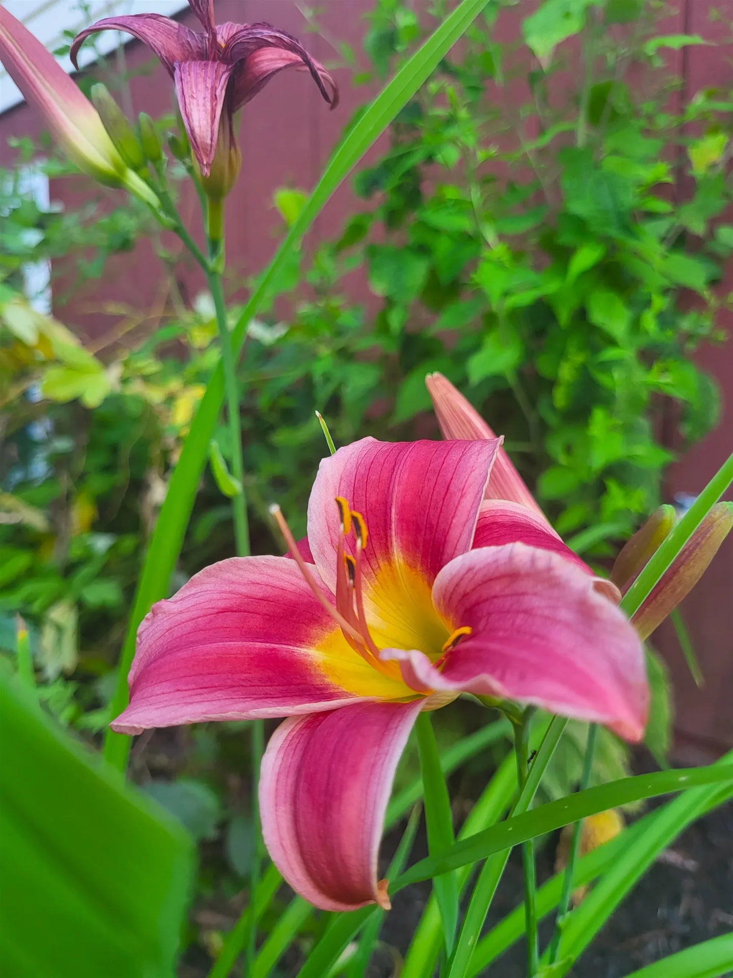 25 Marshall Avenue Hartford VT 05001